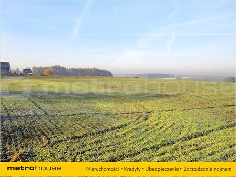 Działka inna na sprzedaż Golęczewo, Suchy Las 1 196m2 Foto 3