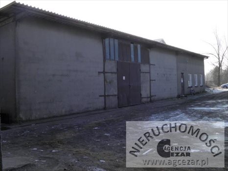 Lokal użytkowy na sprzedaż Mińsk Mazowiecki 1 330m2 Foto 3