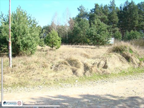 Działka budowlana na sprzedaż Laskowo 1 038m2 Foto 4