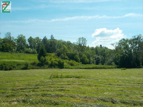Działka budowlana na sprzedaż RABKA-ZDRÓJ 9 232m2 Foto 1