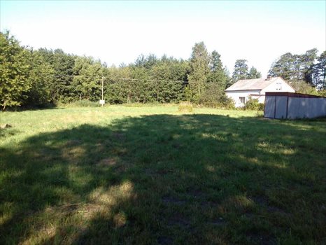 Działka budowlana na sprzedaż Nowa Bukówka, ul.Rumiankowa 65 3 000m2 Foto 3