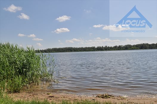 Lokal użytkowy na sprzedaż Serock 3 470m2 Foto 10