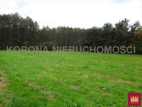 Działka budowlana na sprzedaż Rybnik 1 120m2 Foto 3