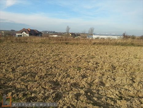 Działka inna na sprzedaż Cianowice Duże 10 700m2 Foto 5