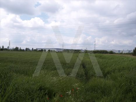 Działka przemysłowo-handlowa pod dzierżawę Gdańsk, Rudniki, TAMA PĘDZICHOWSKA 24 900m2 Foto 5