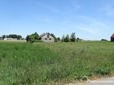 Działka rolna na sprzedaż Sikory-Piotrowięta 3 170m2 Foto 7
