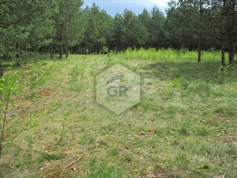 Działka budowlana na sprzedaż Kościerzyna 1 254m2 Foto 5