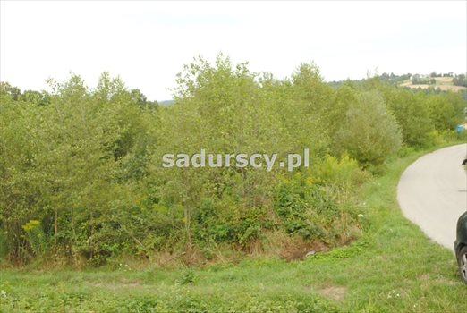 Działka budowlana na sprzedaż Głogoczów 1 965m2 Foto 8