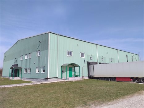 Lokal użytkowy na sprzedaż Białobrzegi 2 000m2 Foto 6