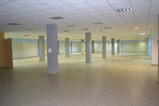 Lokal użytkowy na wynajem Włocławek, Witosa 631m2 Foto 2