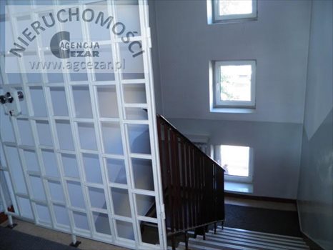 Lokal użytkowy na wynajem Mińsk Mazowiecki, Kościuszki 25m2 Foto 2