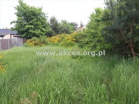Działka budowlana na sprzedaż Jesówka 1 400m2 Foto 7
