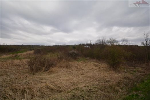 Działka rekreacyjna na sprzedaż Nowosiółki Dydyńskie 2 100m2 Foto 1