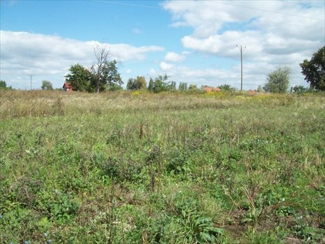 Działka inwestycyjna na sprzedaż Wrocław, Krzyki, ok ul Opolskiej 10 000m2 Foto 2