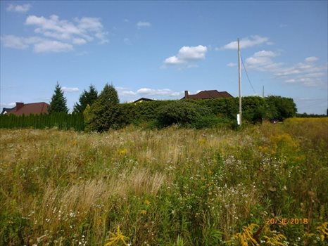 Działka budowlana na sprzedaż Kolonia Lesznowola, Gwarna 1 300m2 Foto 4