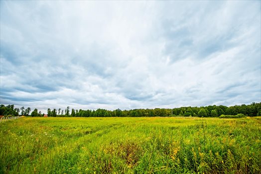 Działka rekreacyjna na sprzedaż Gorzów Wielkopolski, Działka nad jeziorem w sąsiedztwie lasu 670m2 Foto 3