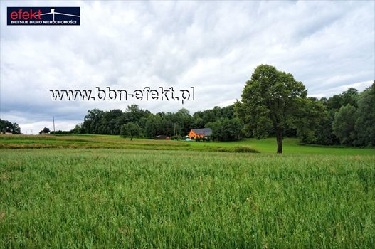 Działka budowlana na sprzedaż Iłownica 4 200m2 Foto 8