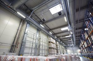 Lokal użytkowy na wynajem Pruszków, Ostoja 3 500m2 Foto 2