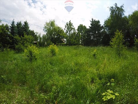 Działka rekreacyjna na sprzedaż Zarzęcin 300m2 Foto 8