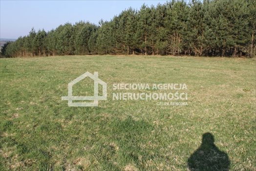 Działka budowlana na sprzedaż Lubowidz 1 760m2 Foto 4