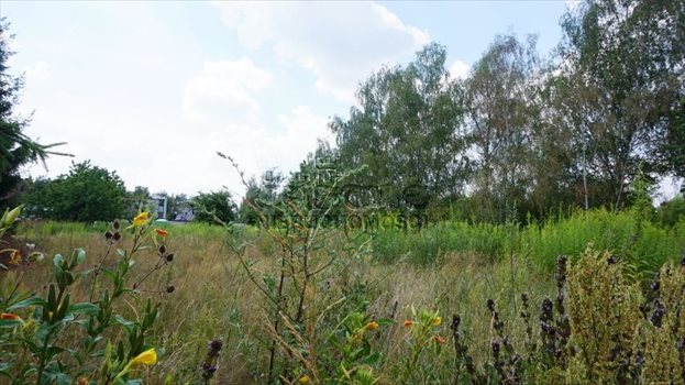 Działka budowlana na sprzedaż Kobylnica, Dolinowa 1 256m2 Foto 5