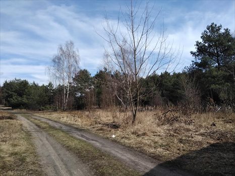 Działka inna na sprzedaż Łódź, Górna, Ziemiańska 4 200m2 Foto 1