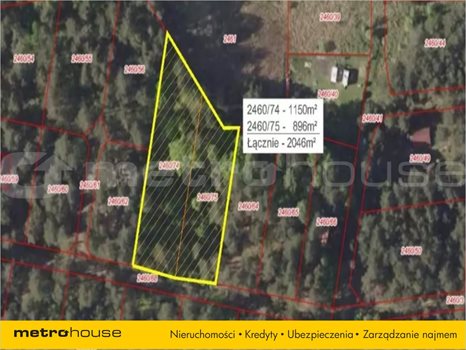 Działka rekreacyjna na sprzedaż Żarki-Letnisko, Poraj 1 150m2 Foto 3