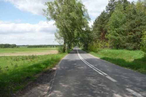 Działka rolna na sprzedaż Toporów 14 300m2 Foto 6