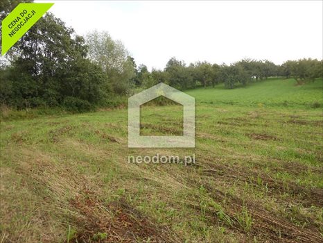 Działka budowlana na sprzedaż Trąbki 1 100m2 Foto 4