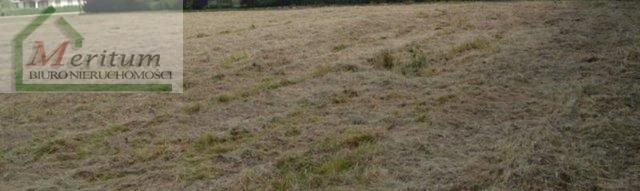 Działka inwestycyjna na sprzedaż Nowy Sącz 5 200m2 Foto 6
