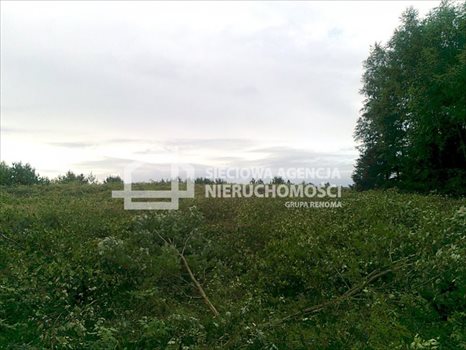 Działka rekreacyjna na sprzedaż Gołubie 1 090m2 Foto 6