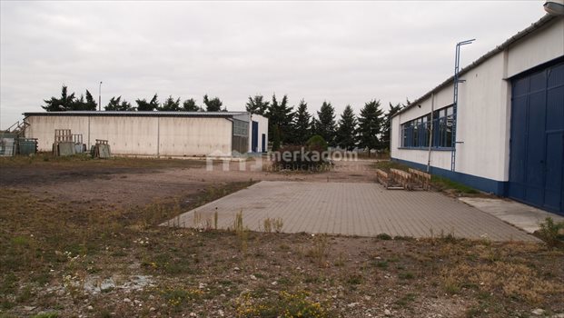 Lokal użytkowy na sprzedaż Buk 1 500m2 Foto 6