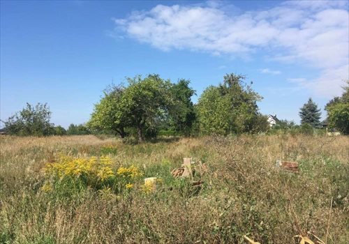 Działka budowlana na sprzedaż Dębienko 915m2 Foto 1