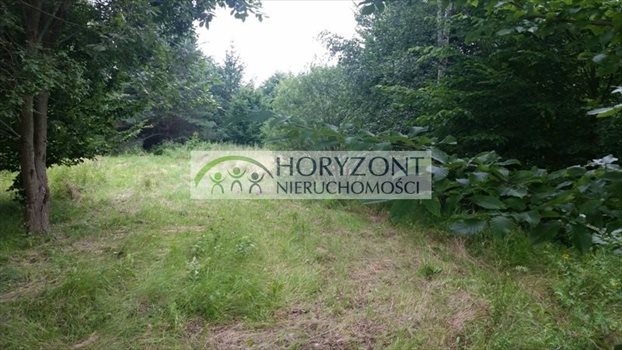 Działka budowlana na sprzedaż Czapielsk 3 348m2 Foto 2