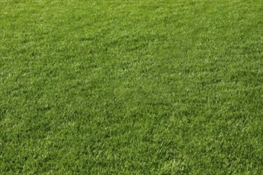 Działka budowlana na sprzedaż Białystok, Mickiewicza 1 630m2 Foto 1
