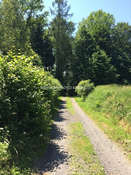 Działka budowlana na sprzedaż Kalwaria Zebrzydowska 24 786m2 Foto 5