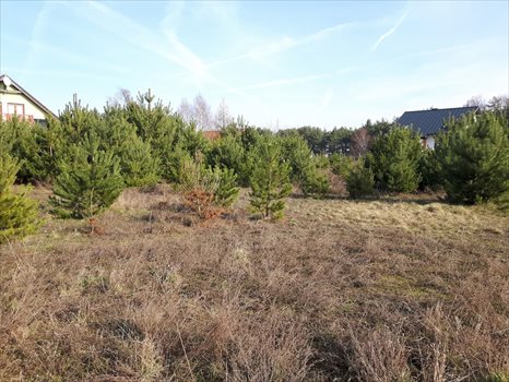Działka budowlana na sprzedaż Skoki, Tadeusza Kościuszki 1 193m2 Foto 2