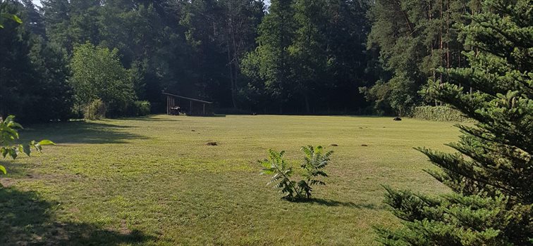 Dom na sprzedaż Wiązowna 150m2 Foto 3