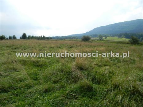 Działka budowlana na sprzedaż Rabka-Zdrój 1 600m2 Foto 8