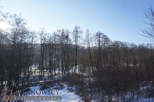 Działka inna na sprzedaż Januszowice 11 700m2 Foto 2