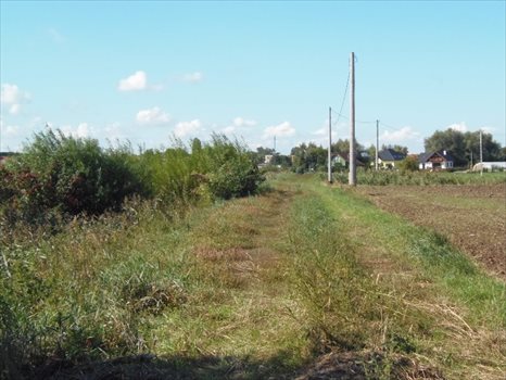Działka inna na sprzedaż Nowy Dwór Gdański, Zagonowa 9 066m2 Foto 3