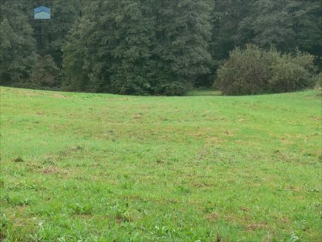 Działka budowlana na sprzedaż Kraków, Swoszowice, Golkowicka 5 000m2 Foto 3