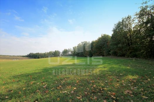Działka siedliskowa na sprzedaż Grabówko, Jezioro, Las, Grabówko 3 100m2 Foto 8