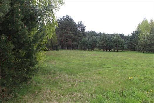 Działka budowlana na sprzedaż Starowola 2 082m2 Foto 8