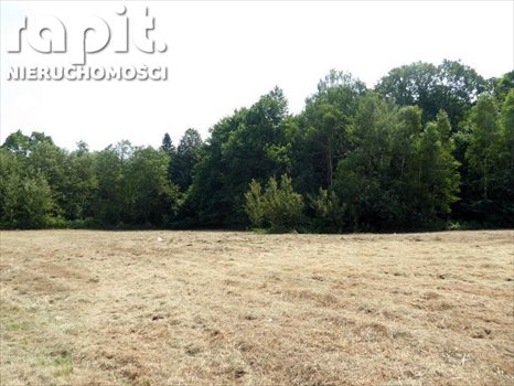 Działka budowlana na sprzedaż Krzyszkowice 1 275m2 Foto 9