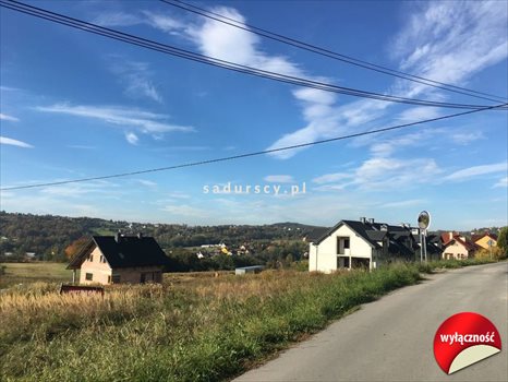Działka budowlana na sprzedaż Dobranowice 4 500m2 Foto 4