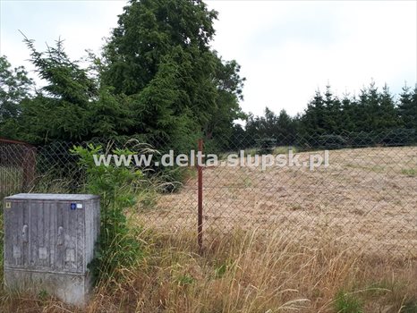 Działka budowlana na sprzedaż Izbica 1 248m2 Foto 5