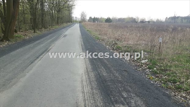 Działka budowlana na sprzedaż Stefanówka 6 231m2 Foto 7