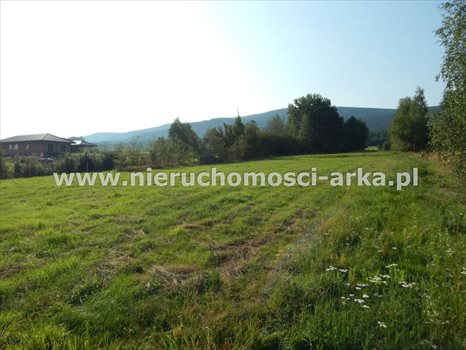 Działka budowlana na sprzedaż Dobra 3 100m2 Foto 2