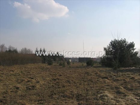 Działka budowlana na sprzedaż Nowe Racibory 1 117m2 Foto 3